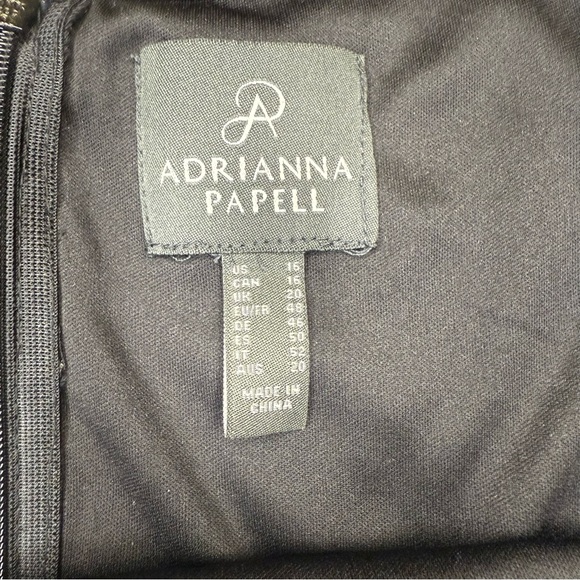 Adrianna Papell black Paisley embroidered sheer sheath dress Sz 16 - Picture 8 of 9